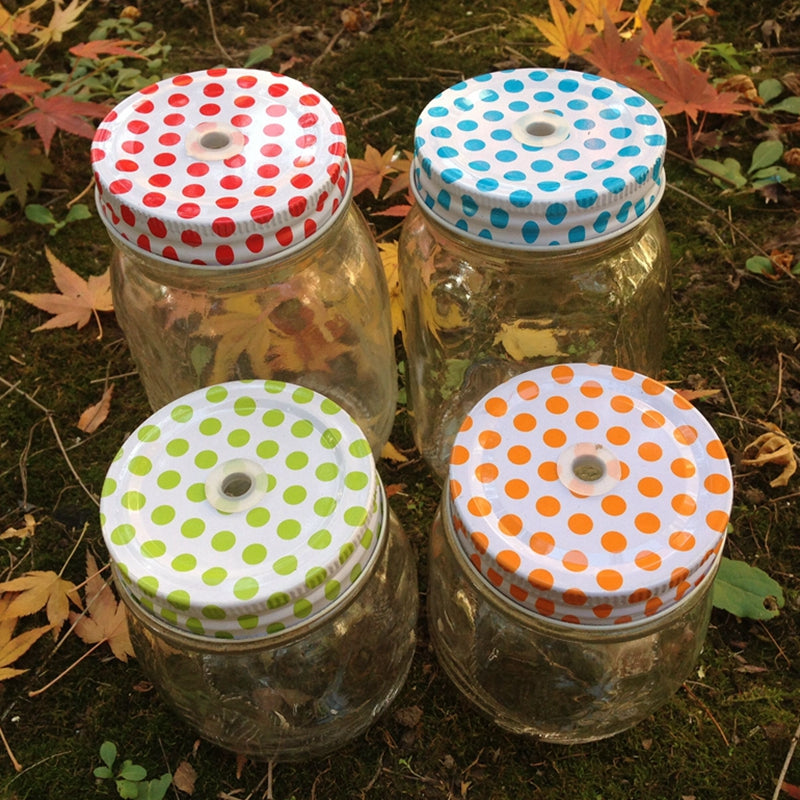 Colorful Polka Dots Lids